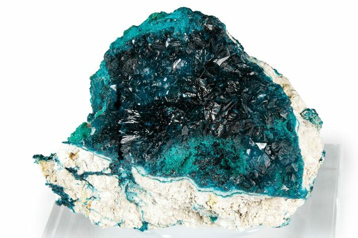 Vibrant Blue Veszelyite Cluster on Kipushite - Congo #351597